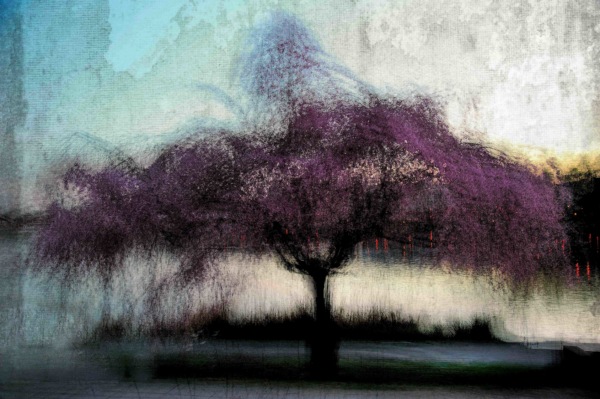 cherrytree-ii
